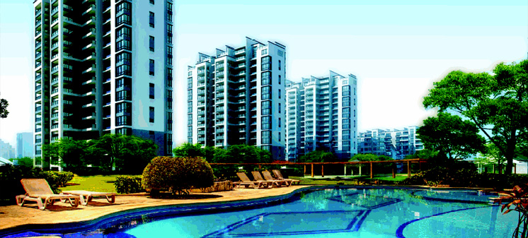 Greens New Project